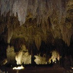 Carlsbad Caverns National Park, Carlsbad, New Mexico