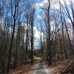 Country Lane in Boone, NC